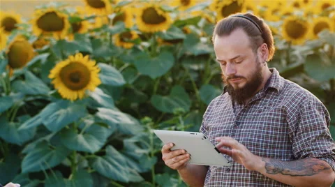 Attractive bearded farmer working with the tablet. Against the backdrop of a Stock Footage 65424065