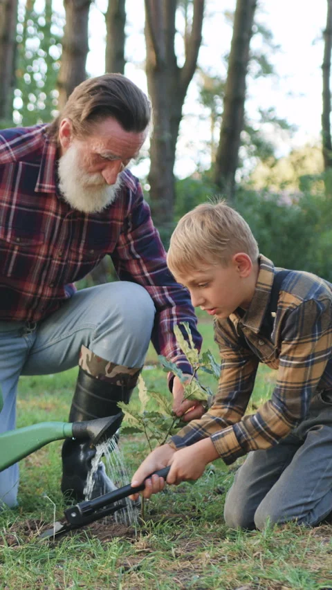 Attractive busy experienced 70-aged bearded grandfather together with his lovely Stock Footage 328378086