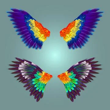 Attractive colourful wings Illustrazione stock