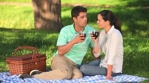 Attractive couple drinking red wine before taking a picnic Stock Footage 2911242