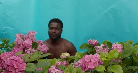 An attractive dark-skinned man with a chic smile gives you pink hydrangeas Vídeo Stock 147837865