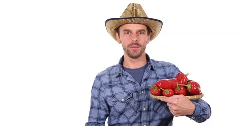 Attractive Farmer Man Talking Hold Bio Red Peppers Production Harvest Vitamins Stock Footage 70687905