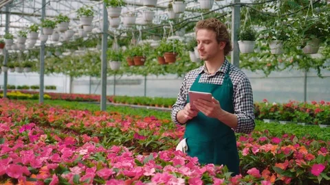Attractive farmer using tablet for searching some information about flowers in a Stock Footage 75285344