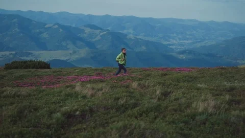 Attractive female backpacker walks down the flowered mountain hill, and Stock Footage 77354448
