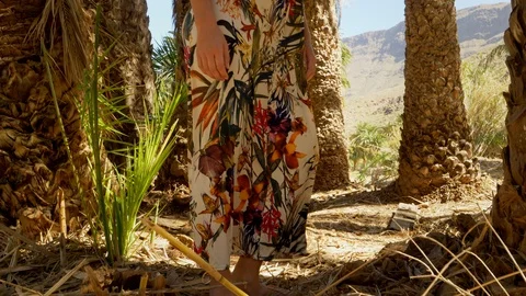 Attractive Female Model from the Leg Up Posing with Tree Trunk in Background 스톡 동영상 116561149