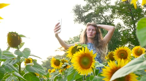 Attractive girl model does selfie near sunflowers. HD Stock Footage 67488071