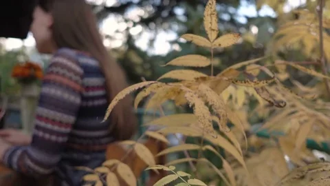 An attractive girl talking to a guy clinking glasses and drinking wine outside t Stock Footage 80231609