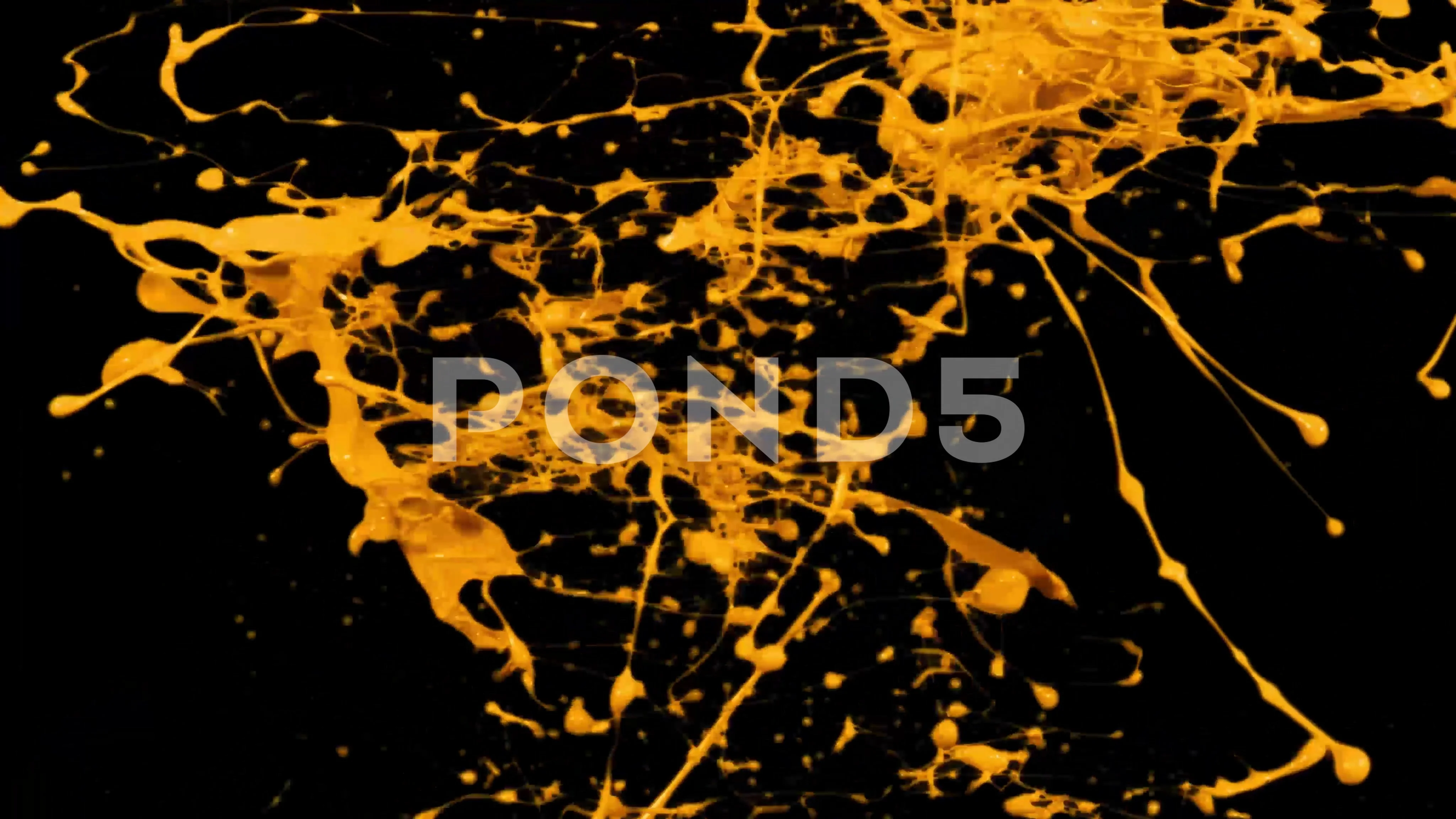 Paint Splash Background Stock Video Footage | Royalty Free Paint Splash  Background Videos | Pond5