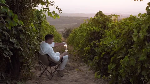 Attractive man drinking wine in vineyards, pouring white wine into glass Stock Footage 289767295