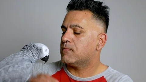 Attractive man playing with his parrot indoors 스톡 동영상 101559867