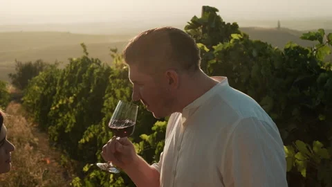 Attractive man tasting red wine swirling the glass tasting Stock Footage 288332739