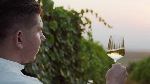 Attractive man tasting white wine in vineyards during grapes harvest Stock Footage 289769108