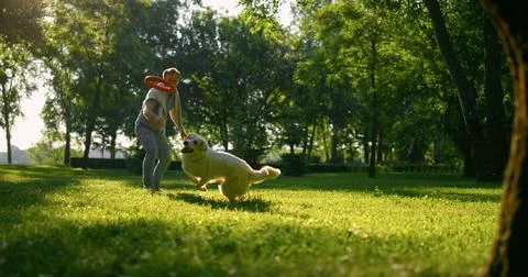 Attractive man throwing puller toy in park. Energetic dog run catching ring. Stock Photos