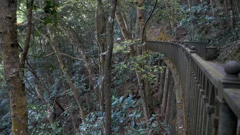 Attractive Mixed Girl on Empty Mountain Bridge Gets Scared and Runs Away Stock Footage 122987481