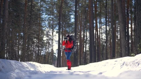 Attractive tourist hiking in forest. Active female during hike in winter forest Stock Footage