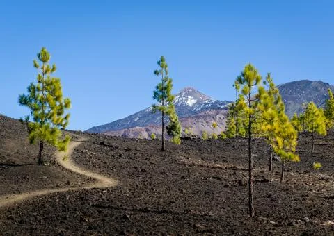 Attractive volcano hiking path. Stock Photos