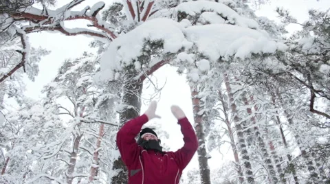 Attractive woman shaking snowy branches Stock Footage 59779109