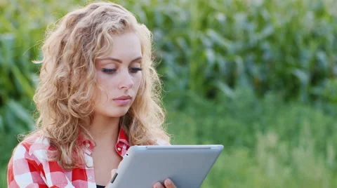 Attractive woman working with the tablet on the background of corn fields Stock Footage 65426026