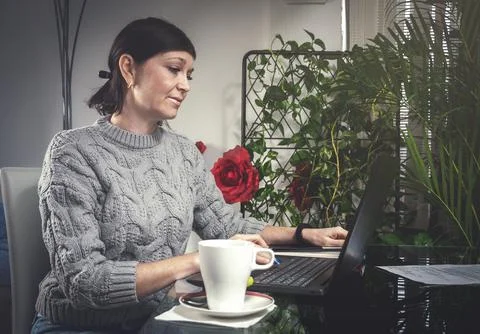 Attractive young business woman working from home with laptop Stock Photos