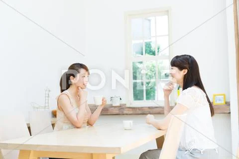 Attractive young girls chatting over a cup of coffee Stock Photos