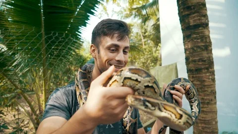 Attractive young guy holds a Burmese Python around his neck and in his hands Video stock 87207632