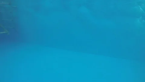 Attractive young man playing in a pool in summer 動画素材 106309891