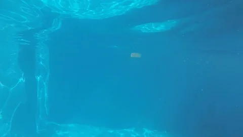 Attractive young man playing in a pool in summer 動画素材 106310123