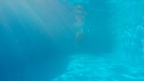 Attractive young man playing in a pool in summer 動画素材 106310151