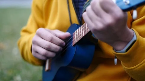 Attractive young man playing a ukulele sitting on grass Stock Footage 81222976