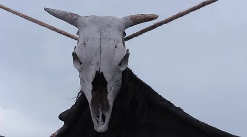 Attribute shaman - bull skull Stock Footage 61535851