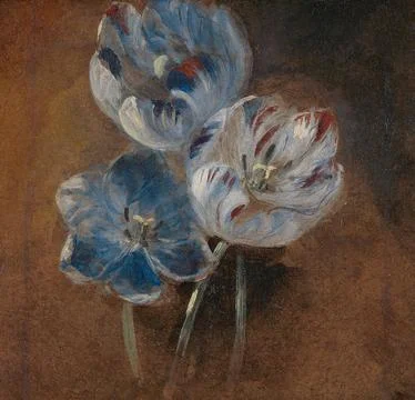 Attributed to John Constable, 1776-1837-, British, Study of Three Parrot Tuli.. Foto stock