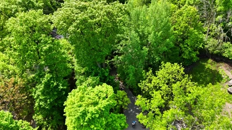 Attributes - Syracuse, NY Video stock 336230214