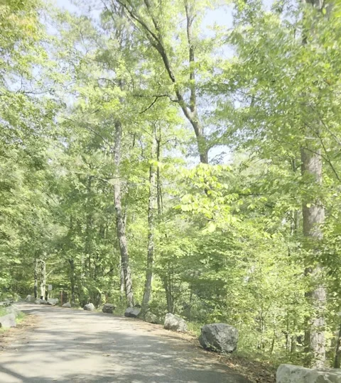 Ature Trail Video stock 345845155