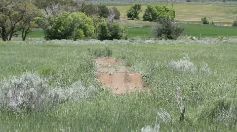 ATV boy rides trail P HD 0851 Stock Footage 739795