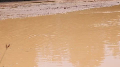 ATV drive through mud puddle Stock Footage 64331299