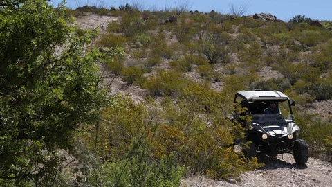 ATV Drives on Desert Path with Foliage in Foreground Stock Footage 112939623