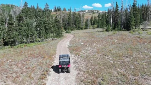 ATV driving on back roads into a forest Stock Footage 132228981