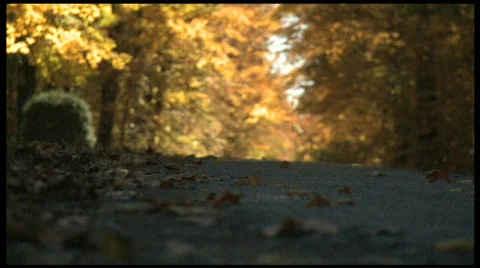 ATV Video stock 288620