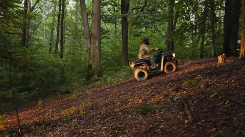 ATV group, forest trail, dynamic ride Stock Footage 302929430