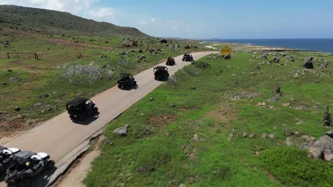 ATV Group Ride Aruba Desert Trail Aerial View Video stock 340925671