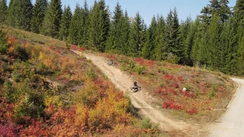 ATV Quad driving Stock Footage 252480448