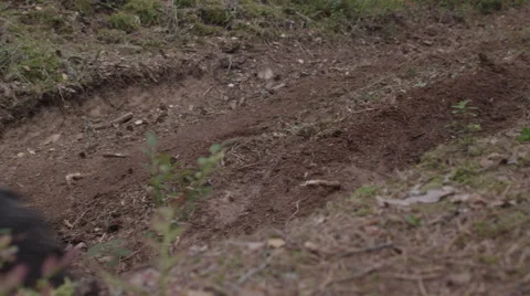 ATV racing on dirt track at spring Stock Footage 62758247