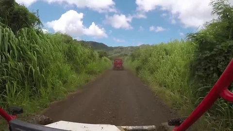 ATV Ride in Hawaii Video stock 80616048
