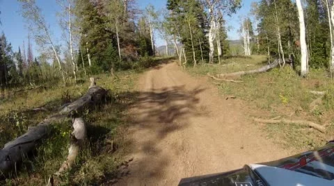 ATV riding along mountain forest trail HD 013 Stock Footage 11984461