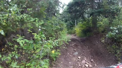 ATV riding through narrow steep forest mountain trail HD 006 Stock Footage 11959532