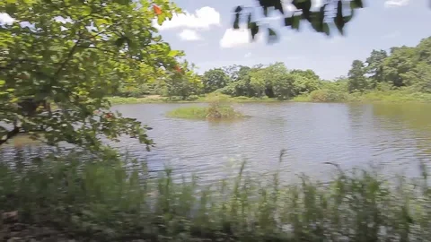 ATV Tours with a pond view Stock Footage 88225206