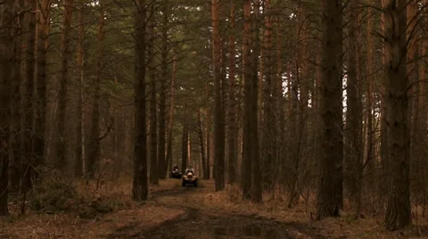 ATVs in the forest Stock Footage 37147717
