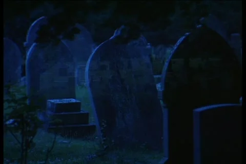 Atypical graves on graveyard located in sunny Florida, United States, 1997 Stock Footage 170065139