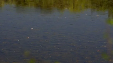 AU2019050 Stock Footage 334629226