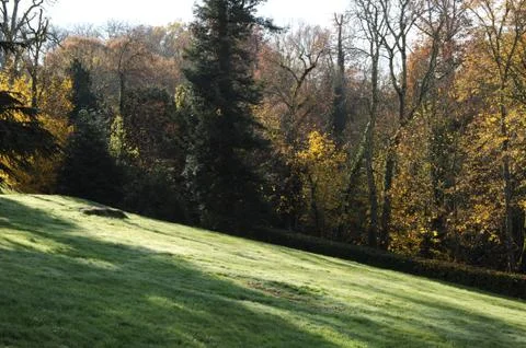 Auatomne Stock Photos